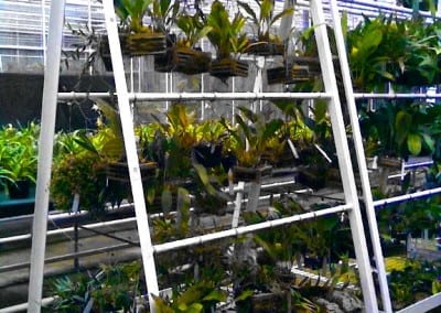 Aluminium ‘A’ Frames – Royal Botanical Gardens, Kew, Surrey