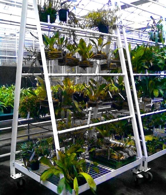 Aluminium ‘A’ Frames – Royal Botanical Gardens, Kew, Surrey