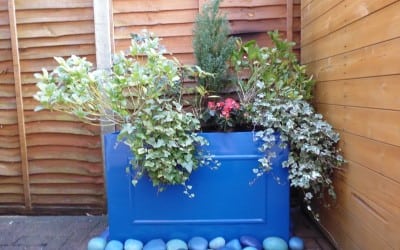 Year-round garden colour that doesn’t come from plants