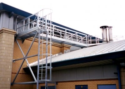 cat ladders 01