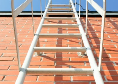 cat ladders 02