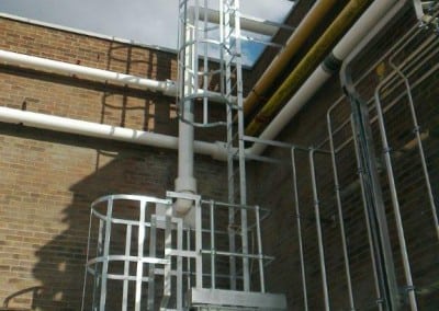 cat ladders 03