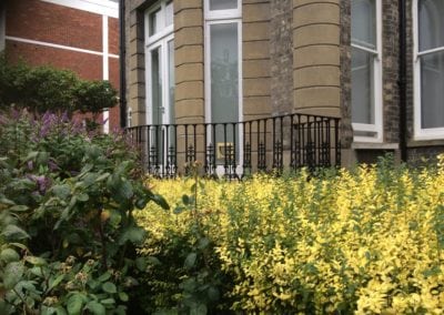 Repair Refurbishment of Garden Steps Putney Hill London SW15 6