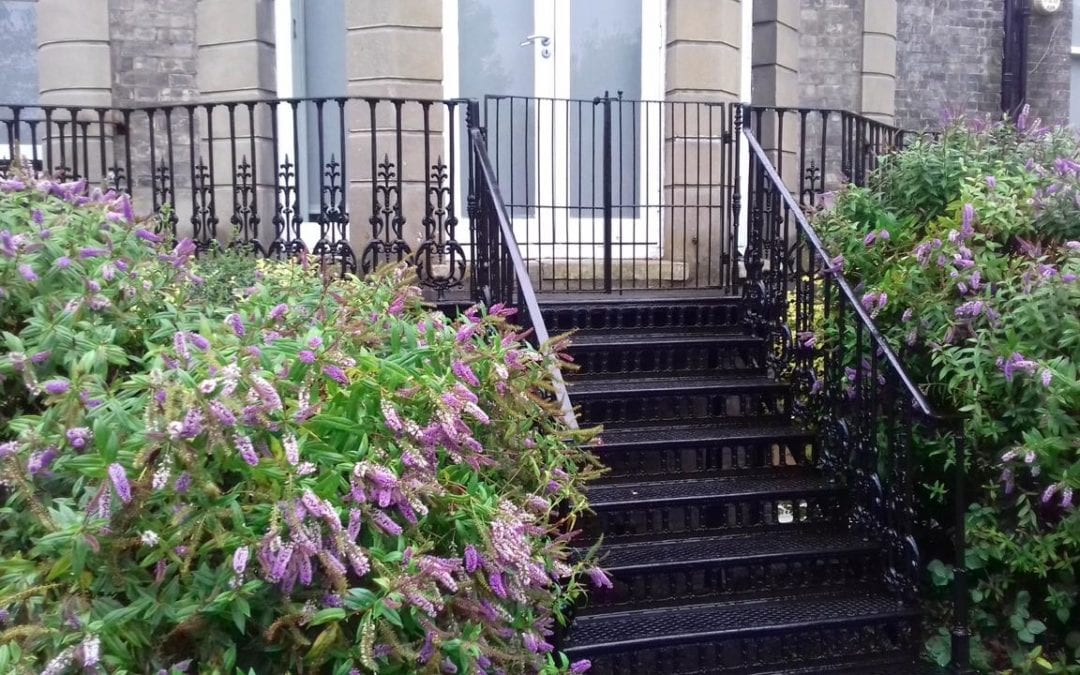 Lets Go Into The Garden