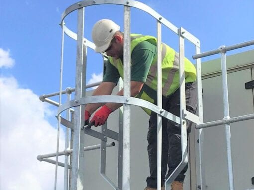 Cat Ladder and Steps for the roof of Homerton Hospital, London E9