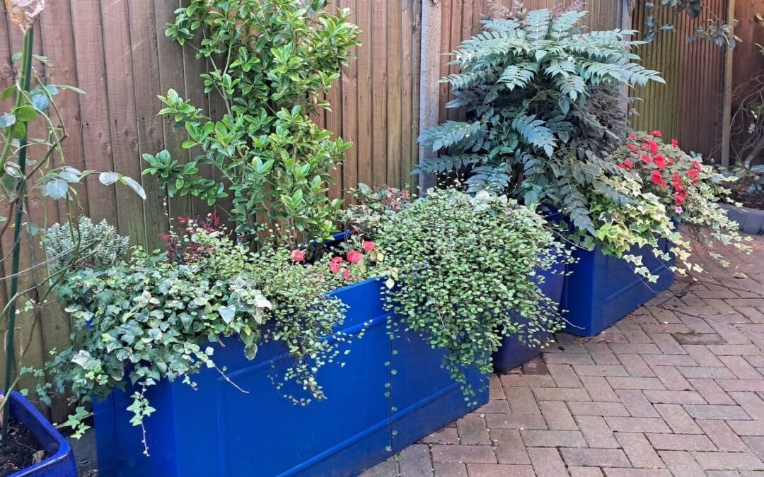 Planters For A Private House Loughton Essex