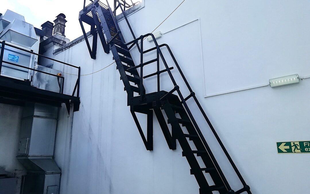 Inspection of Companion Ladder & Cat Ladder, Grade II Listed, The Polish Hearth Club, Kensington, London SW7